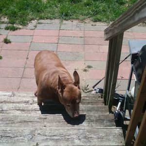 Meet your Posher, Vaneesha